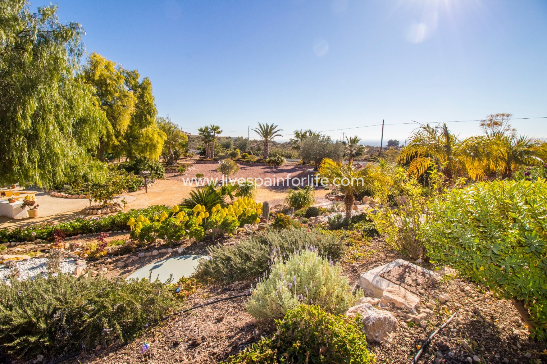 Resale - Country Property -
Albatera