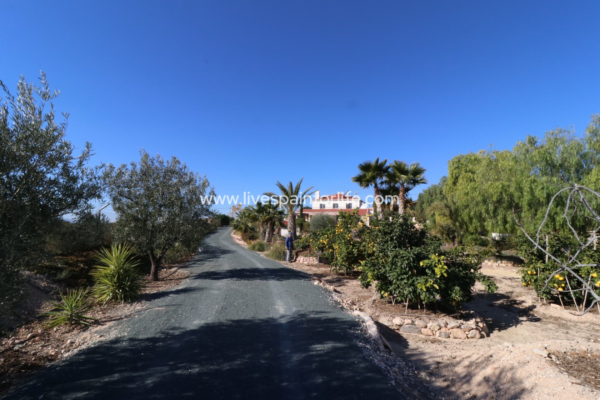 Resale - Country Property -
Albatera