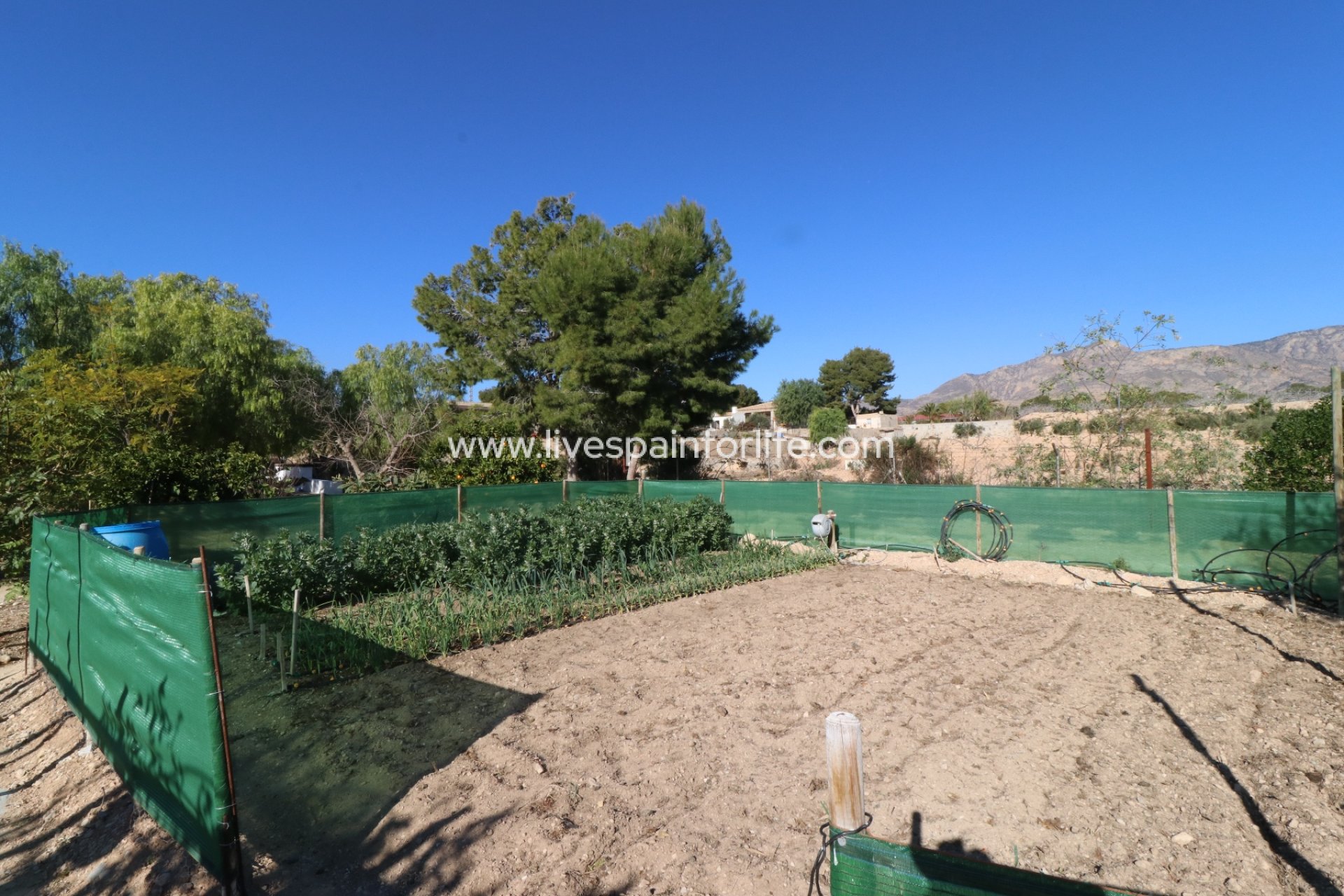 Resale - Country Property -
Albatera