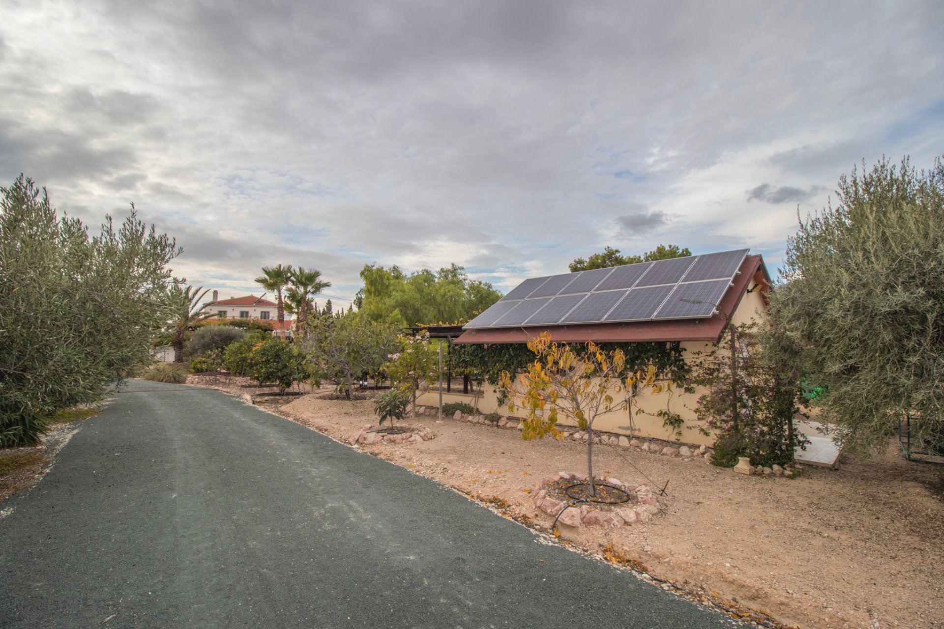 Resale - Country Property -
Albatera