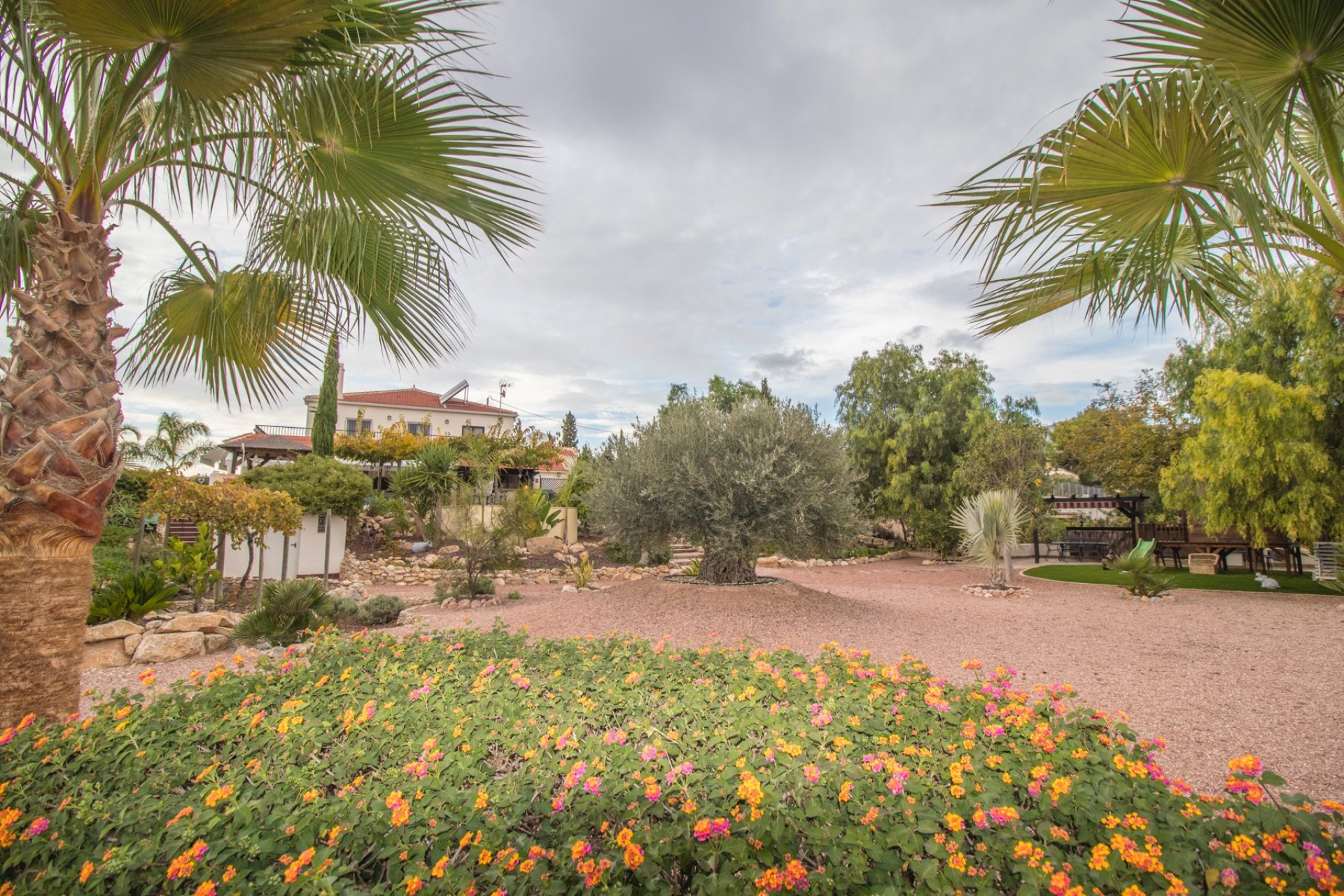 Resale - Country Property -
Albatera