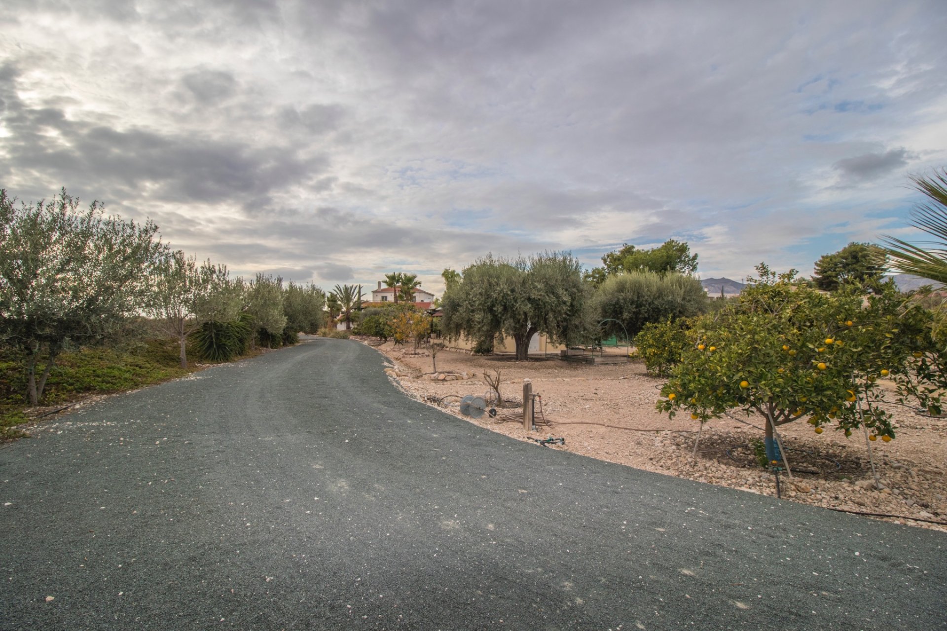 Resale - Country Property -
Albatera