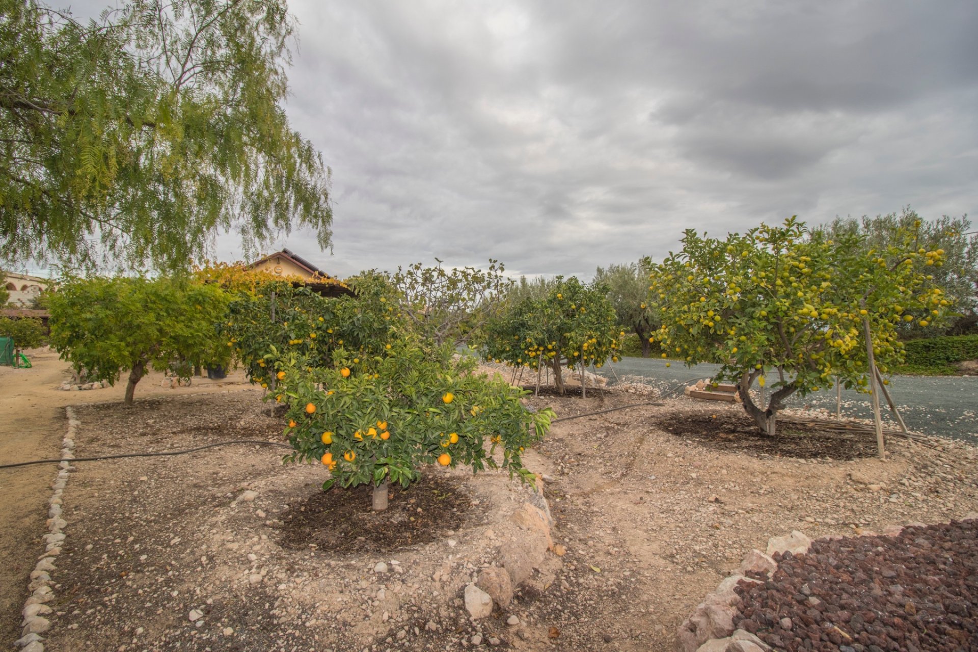 Resale - Country Property -
Albatera