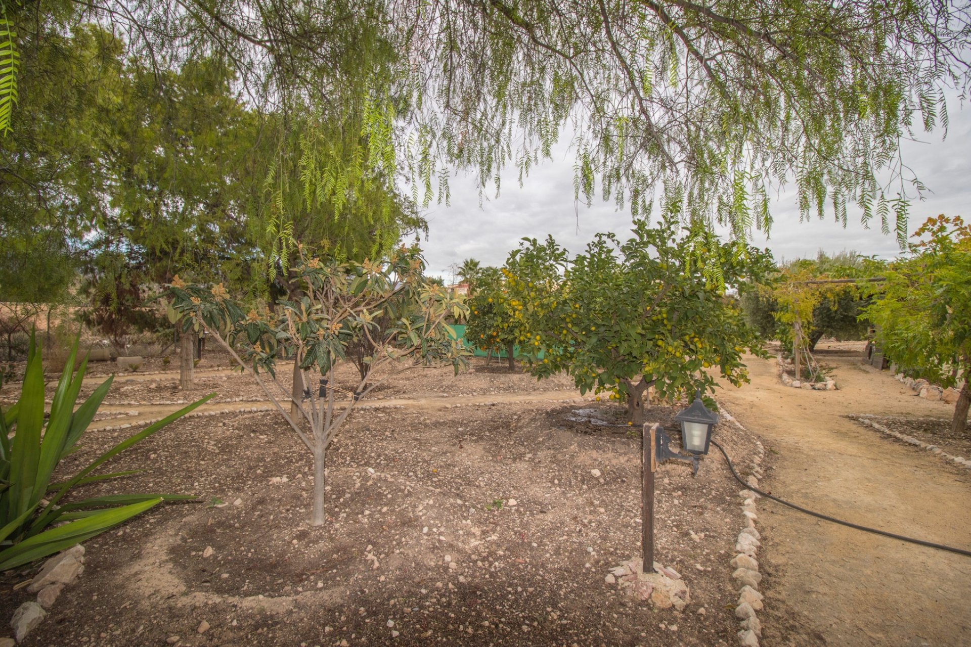 Resale - Country Property -
Albatera