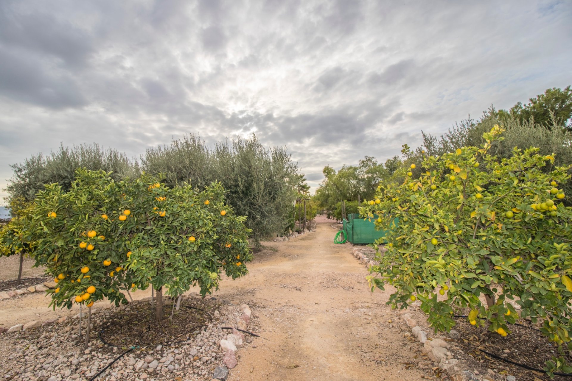 Resale - Country Property -
Albatera