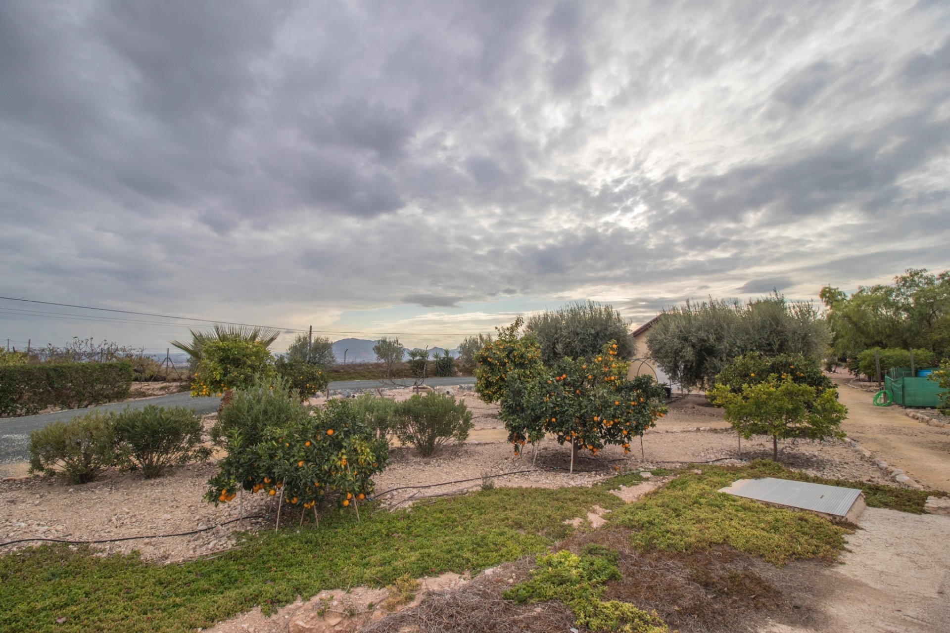 Resale - Country Property -
Albatera