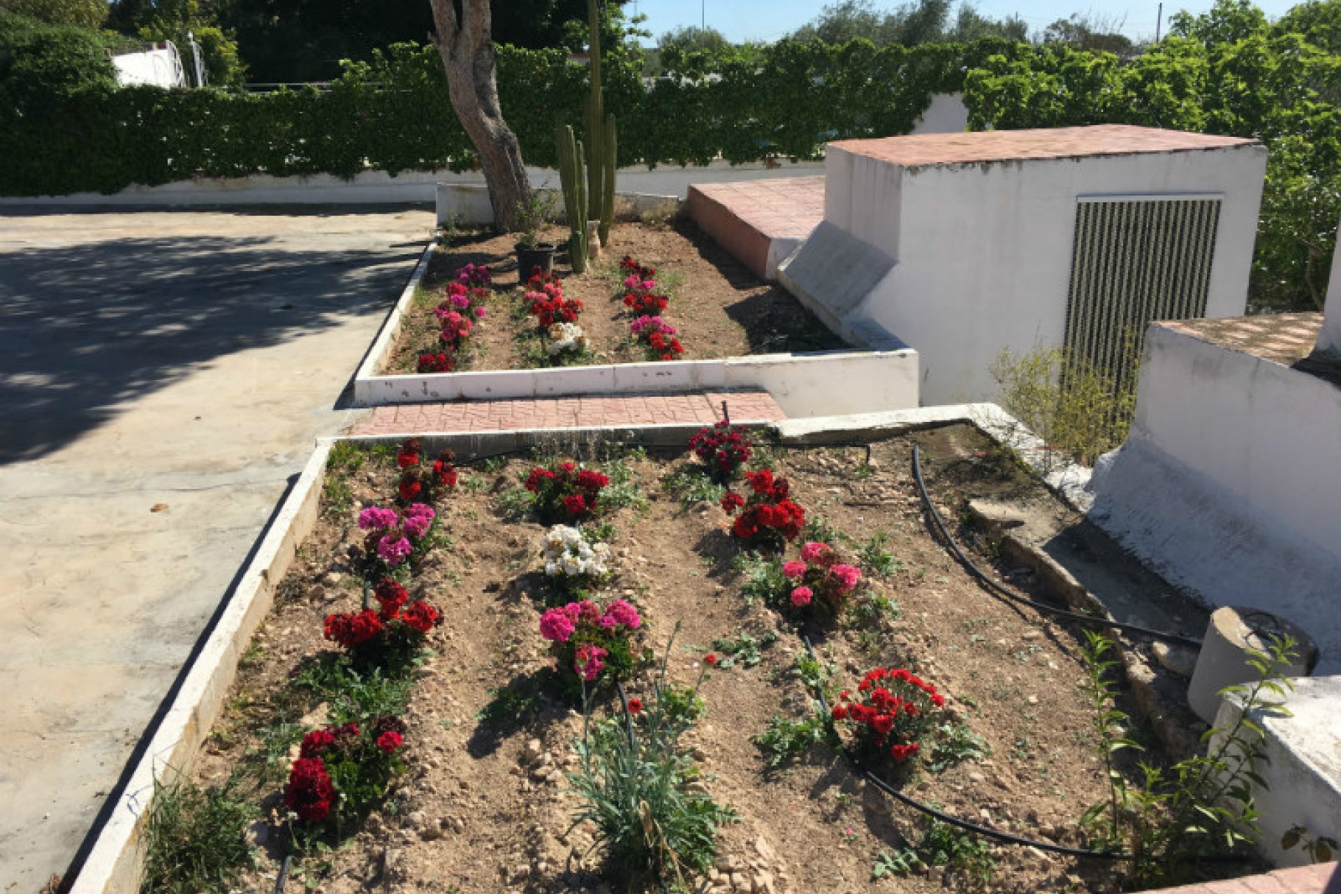 Resale - Country Property -
Albatera