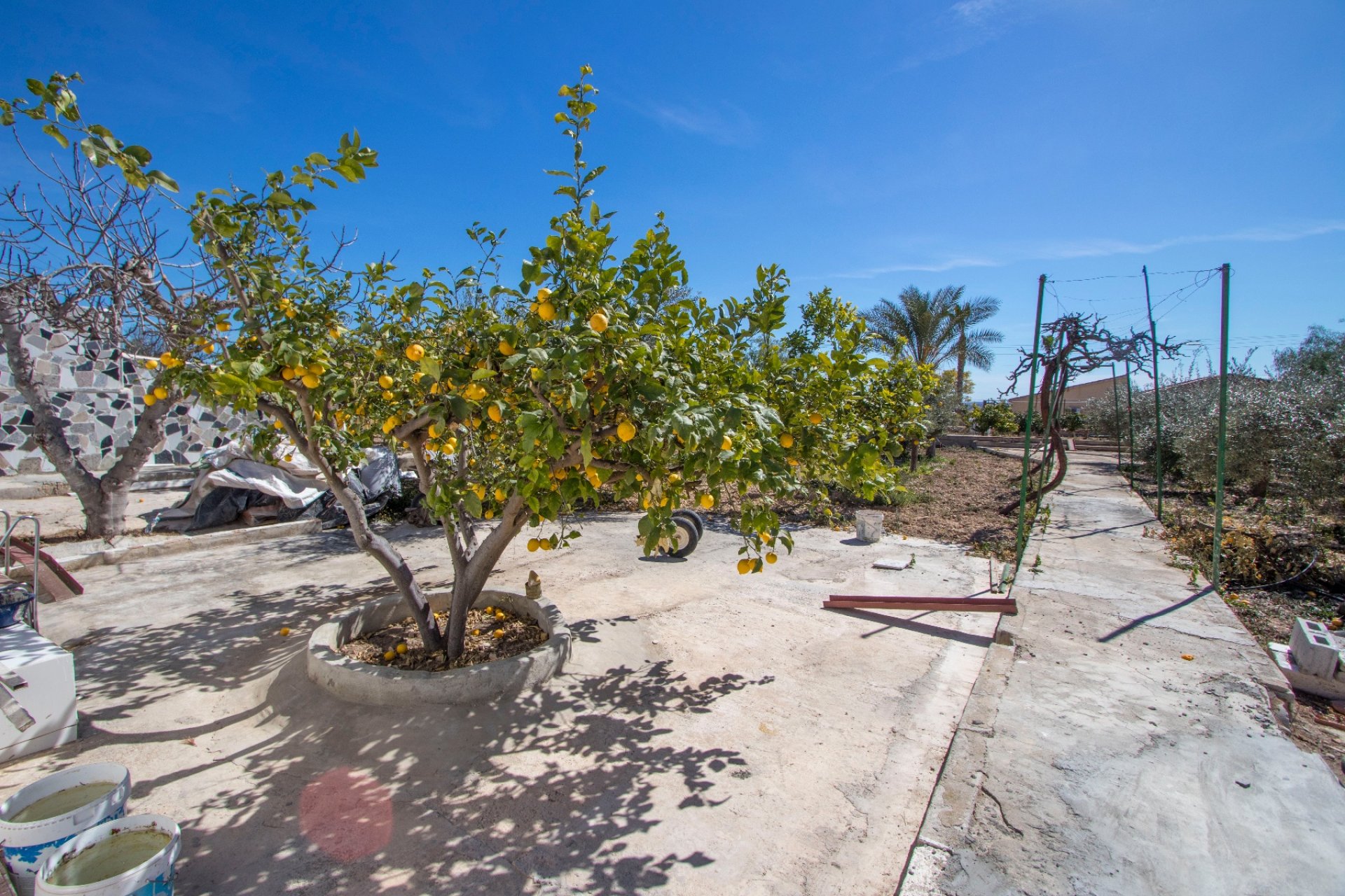 Resale - Country Property -
Albatera