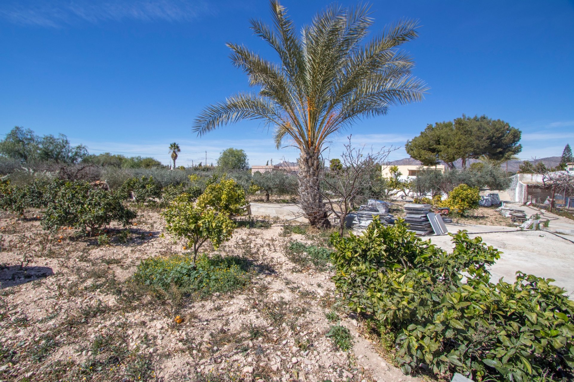 Resale - Country Property -
Albatera