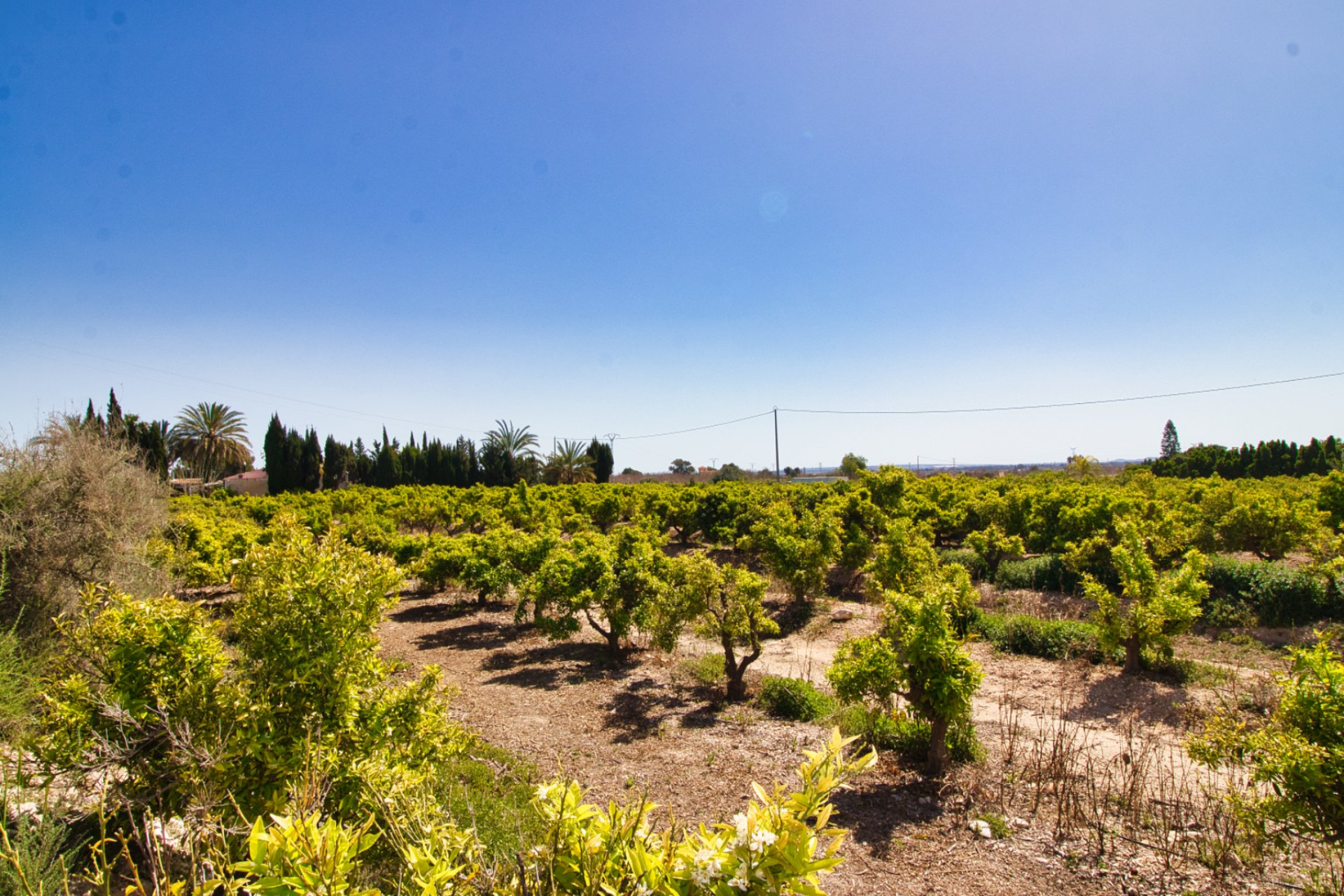 Resale - Country Property -
Albatera