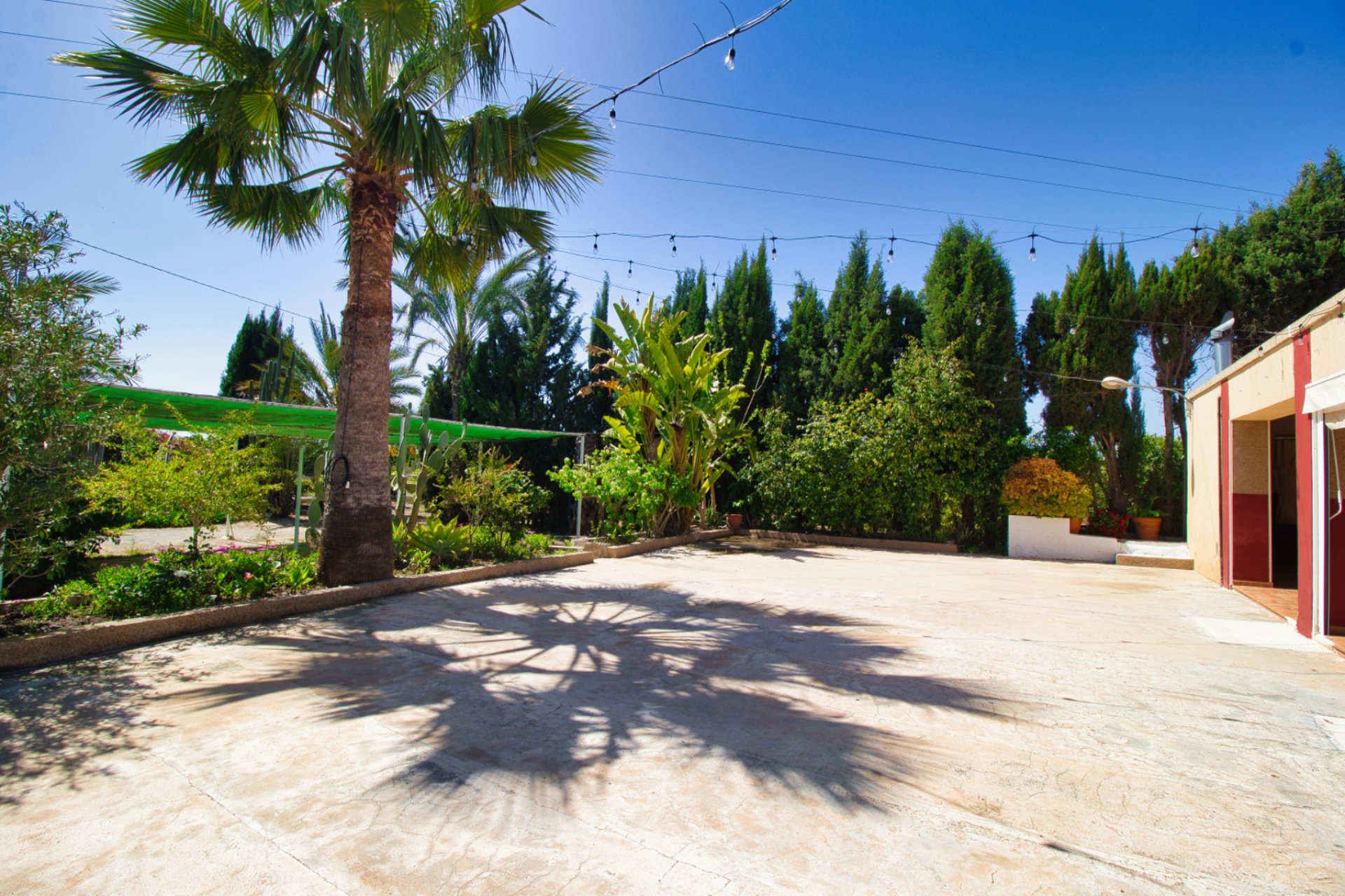 Resale - Country Property -
Albatera