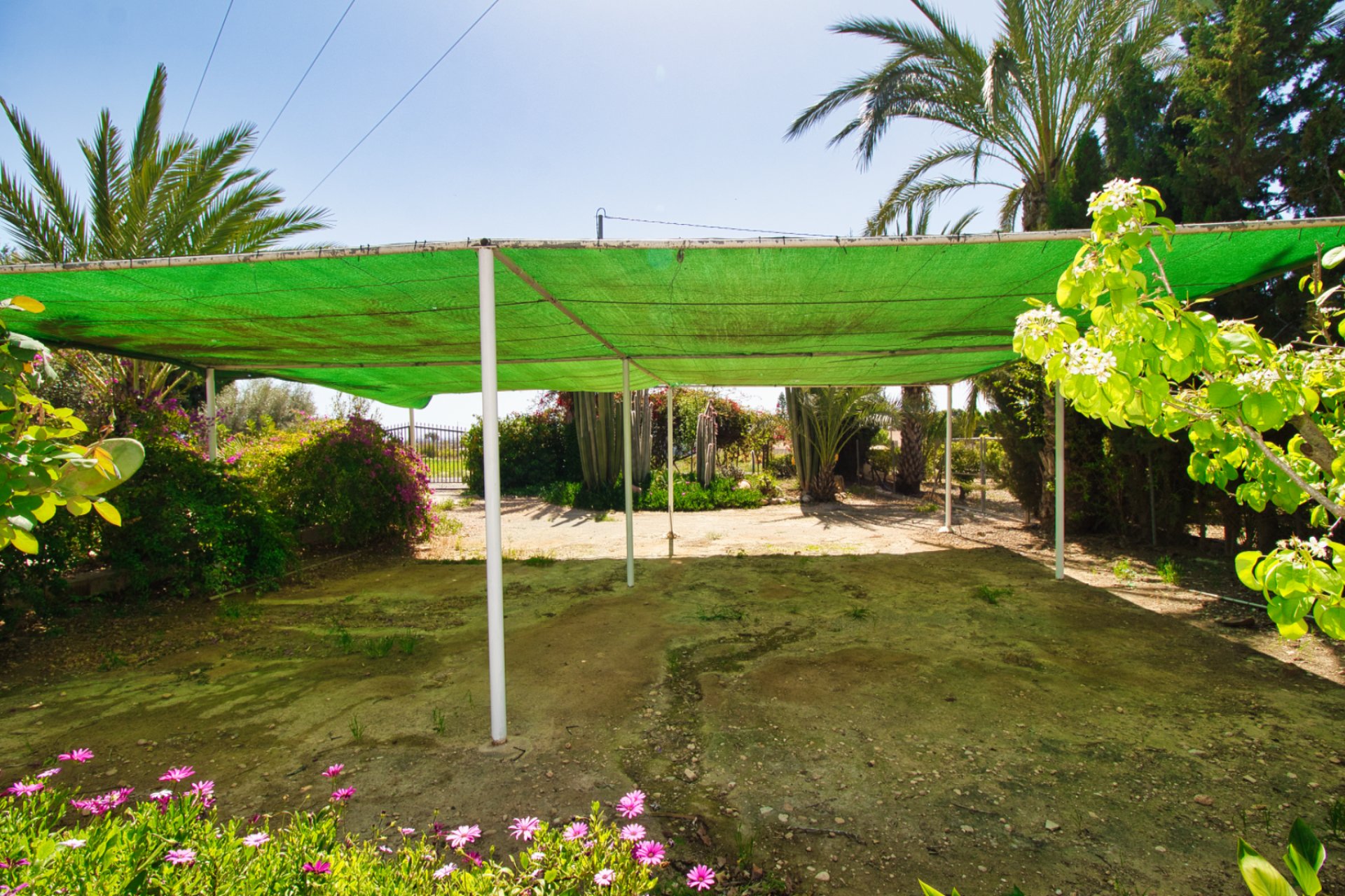 Resale - Country Property -
Albatera