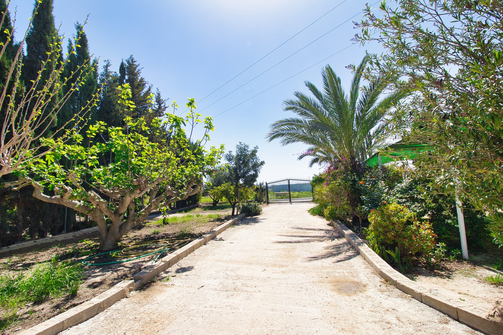 Resale - Country Property -
Albatera