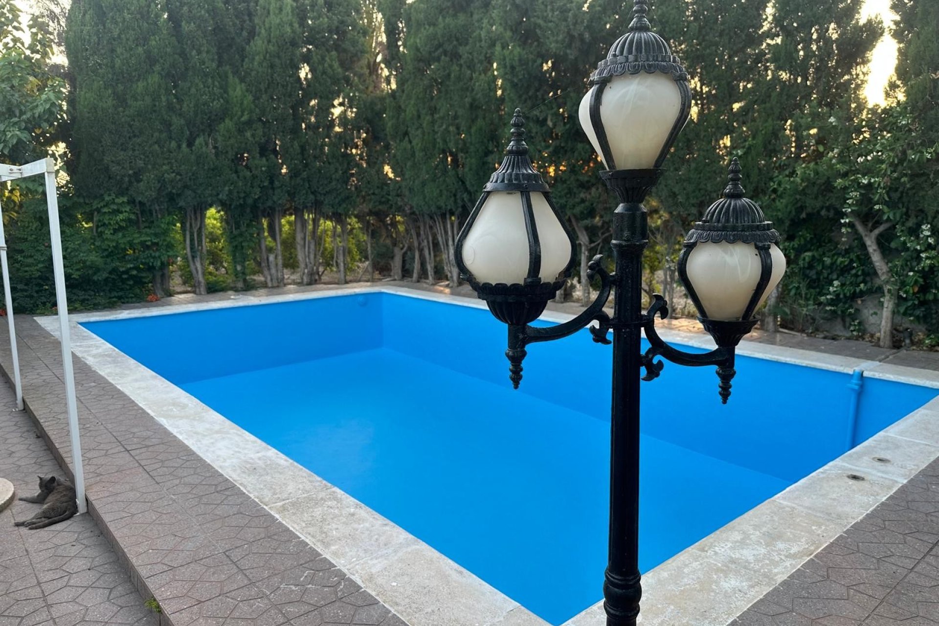 Resale - Country Property -
Albatera