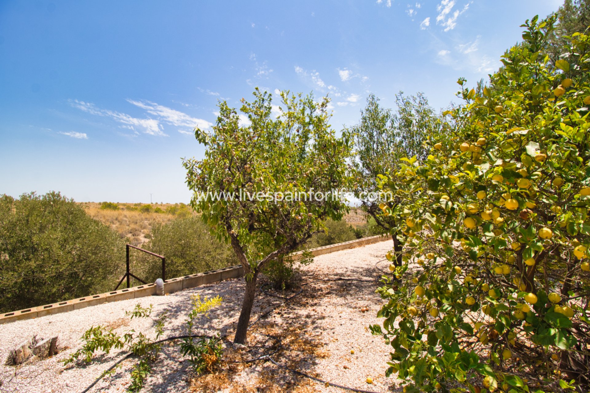 Resale - Country Property -
Albatera