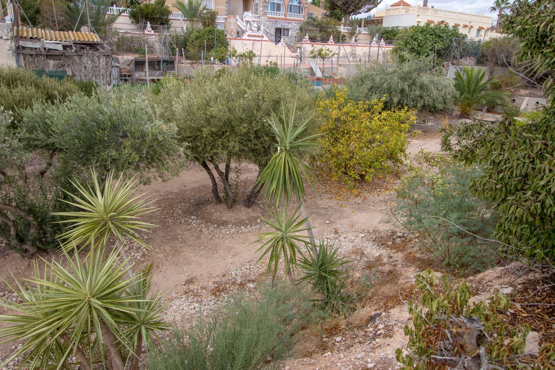 Resale - Country Property -
Albatera