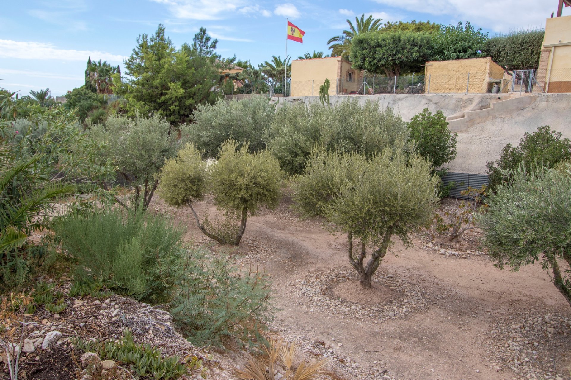 Resale - Country Property -
Albatera