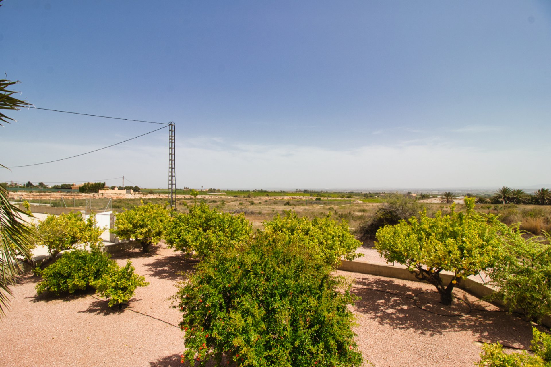 Resale - Country Property -
Albatera