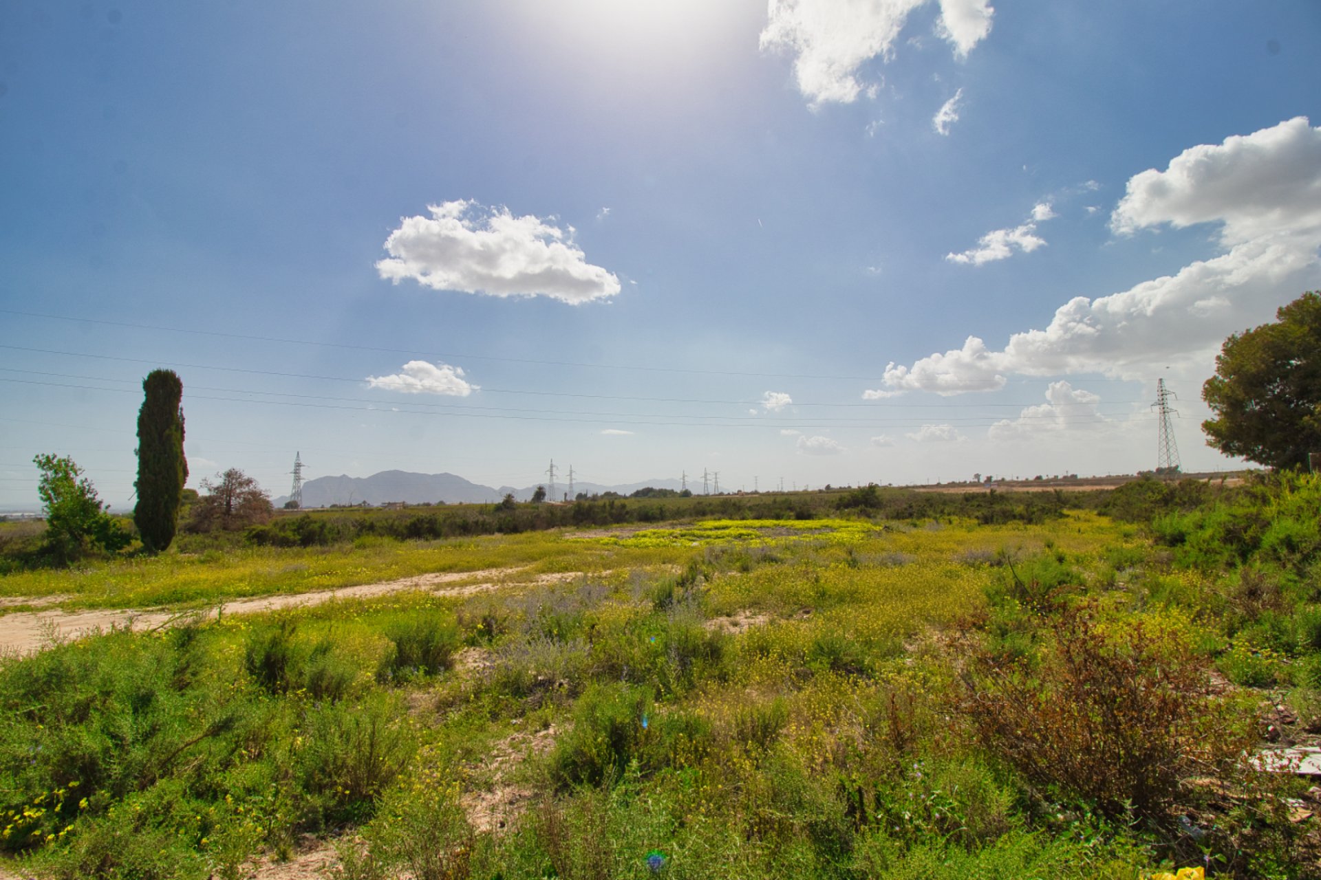 Resale - Country Property -
Albatera