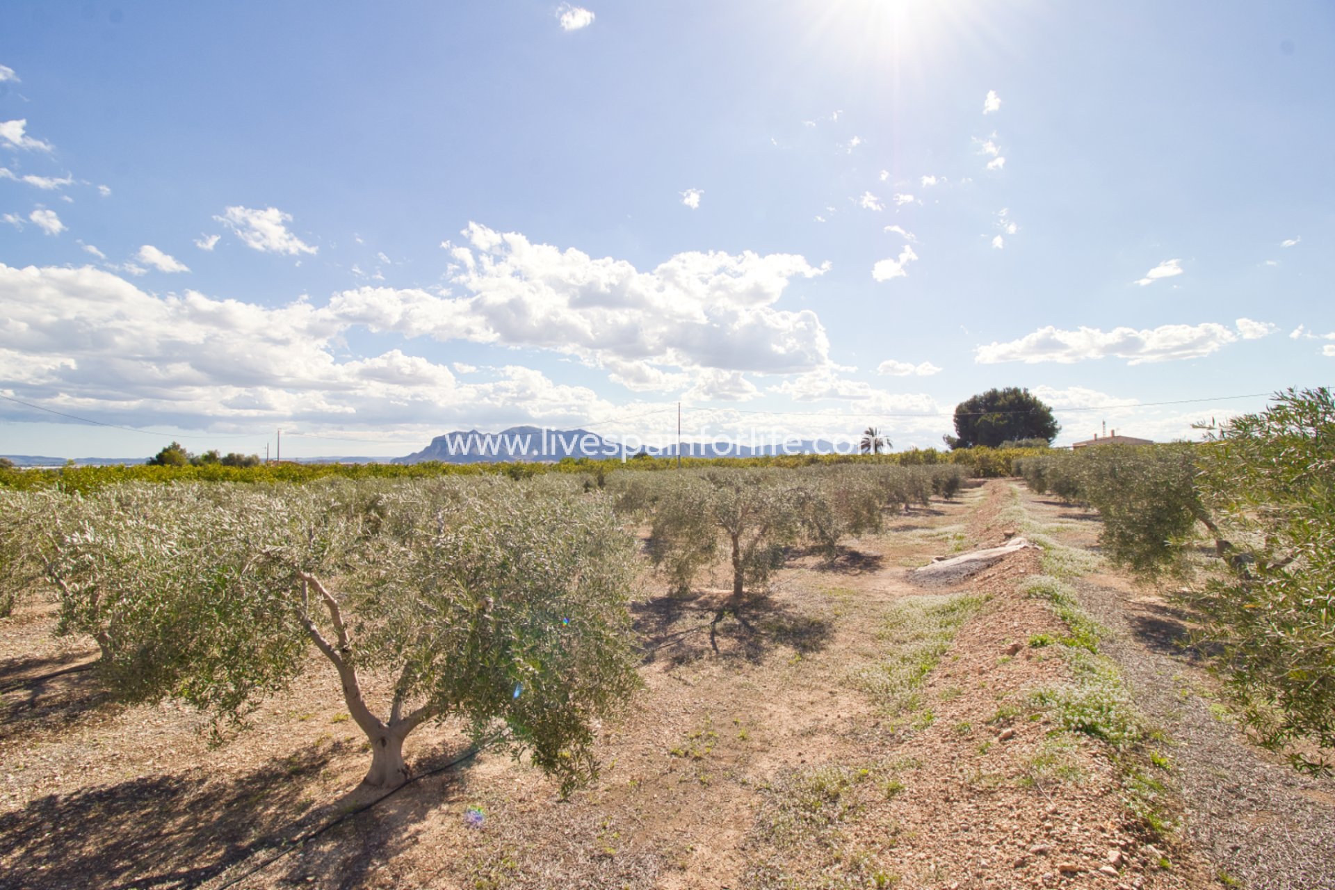 Resale - Country Property -
Albatera