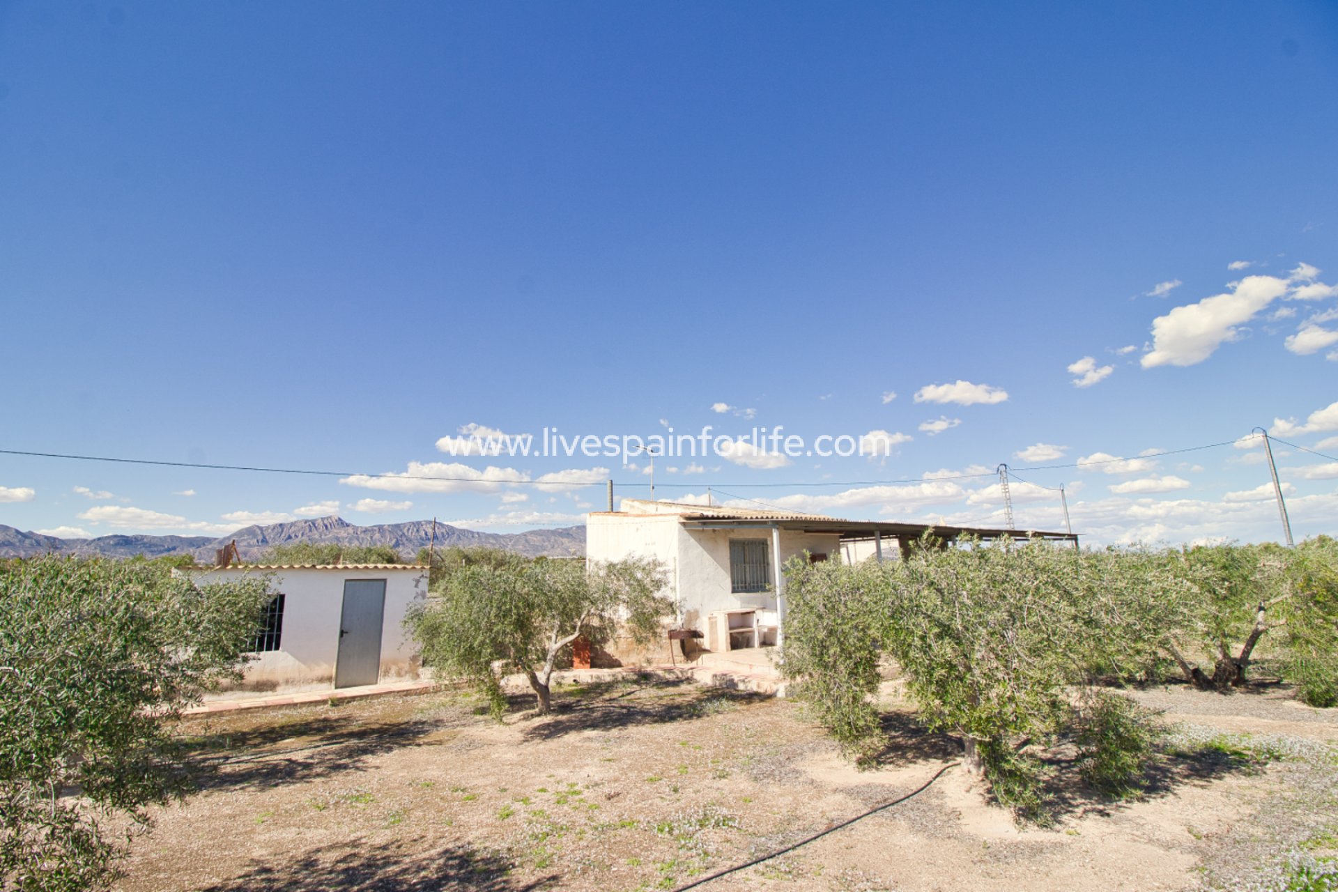 Resale - Country Property -
Albatera