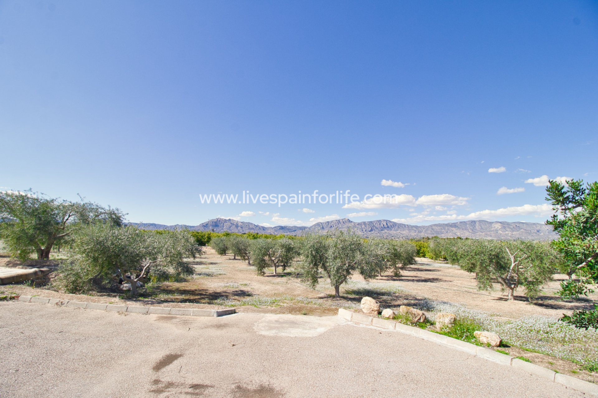 Resale - Country Property -
Albatera