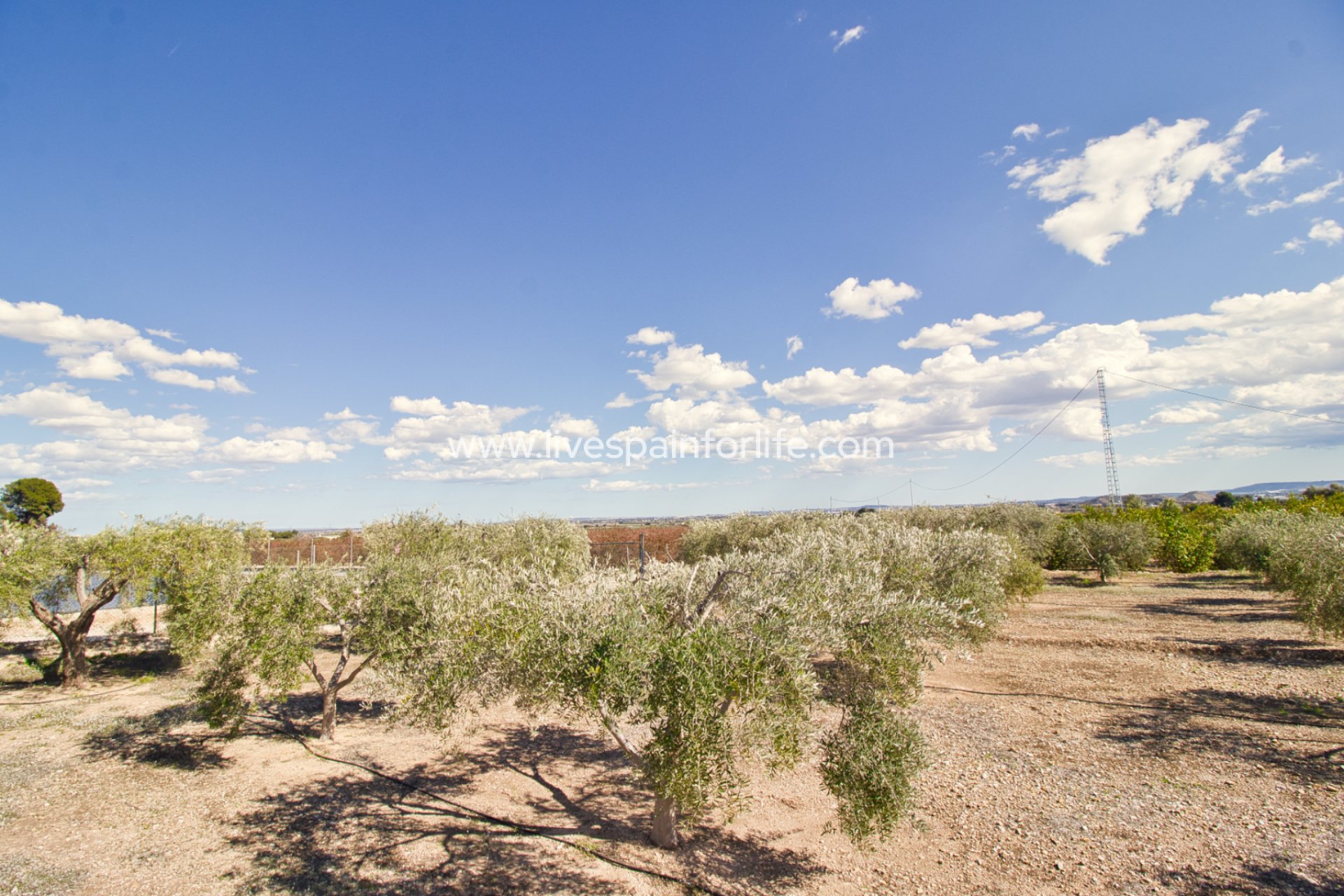 Resale - Country Property -
Albatera