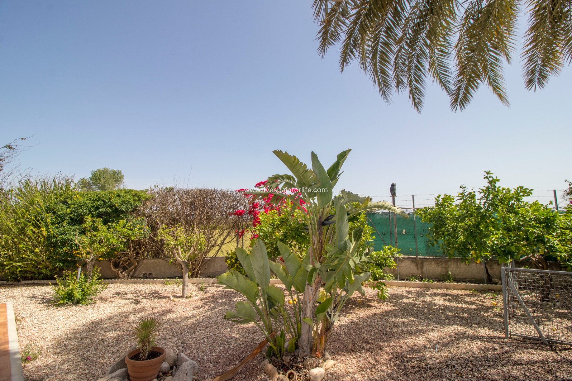 Resale - Country Property -
Albatera