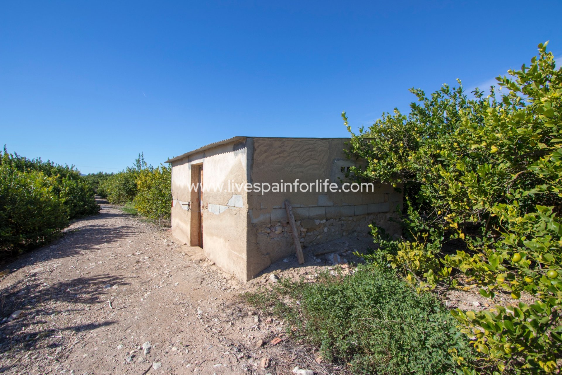 Resale - Country Property -
Albatera