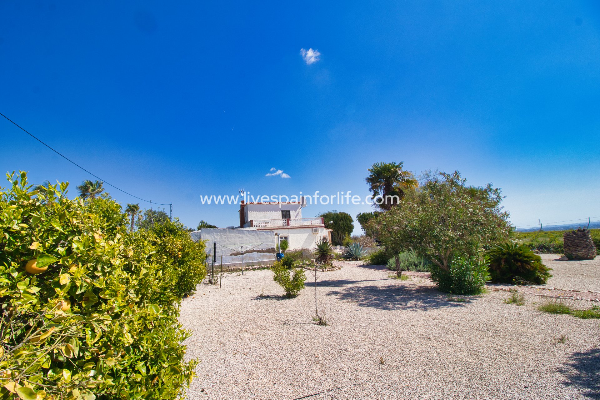 Resale - Country Property -
Albatera