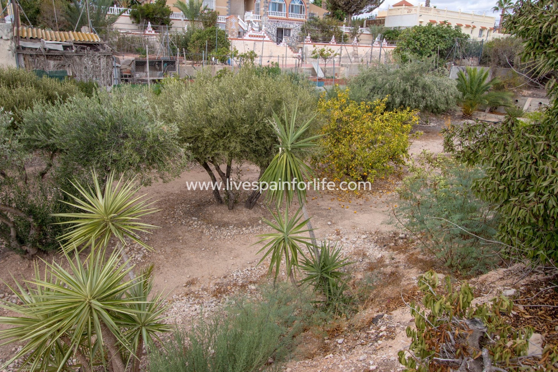 Resale - Country Property -
Albatera