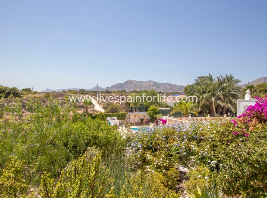 Resale - Country Property -
Albatera