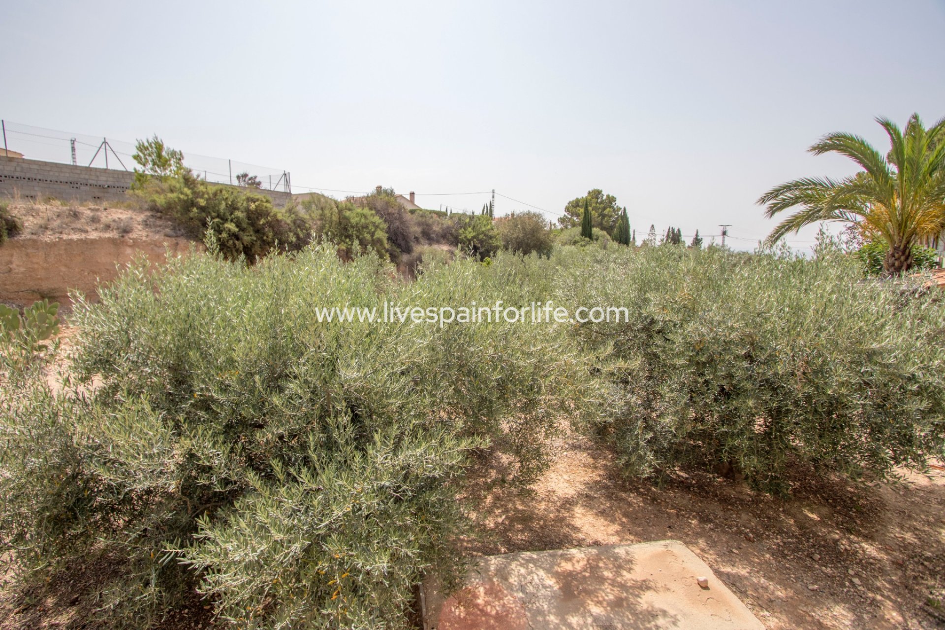 Resale - Country Property -
Albatera