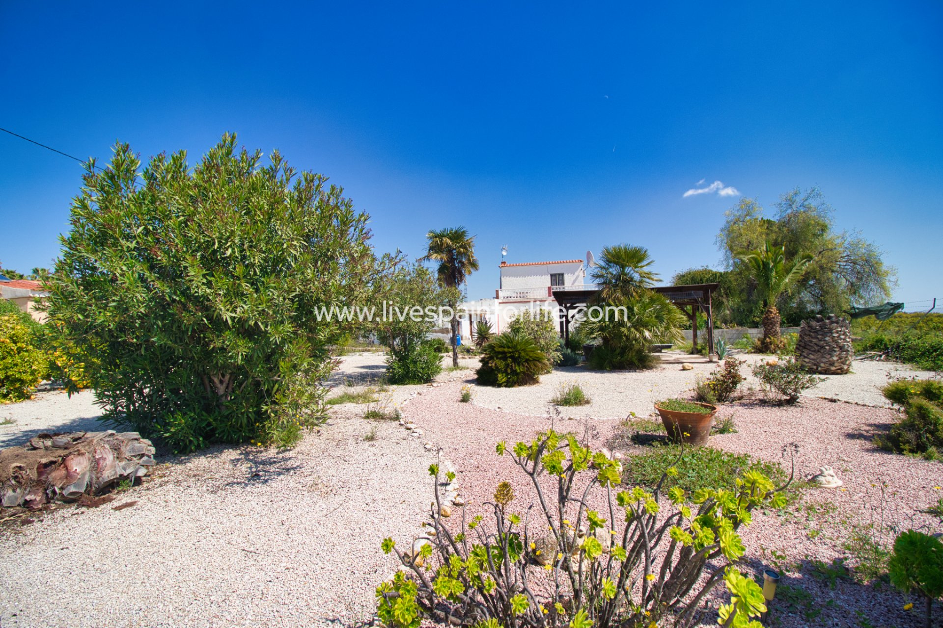 Resale - Country Property -
Albatera