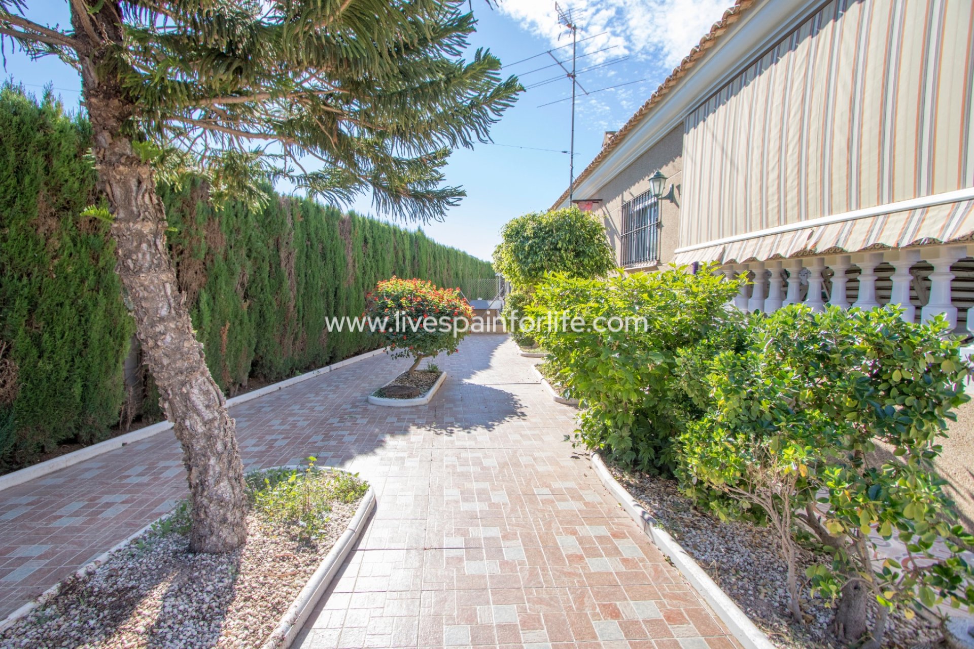 Resale - Country Property -
Albatera
