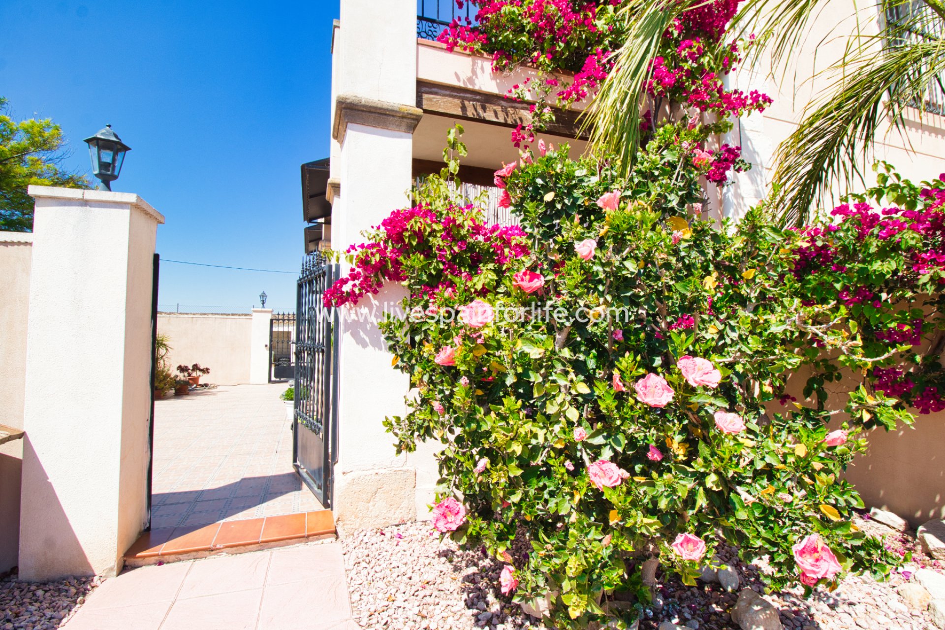 Resale - Country Property -
Albatera