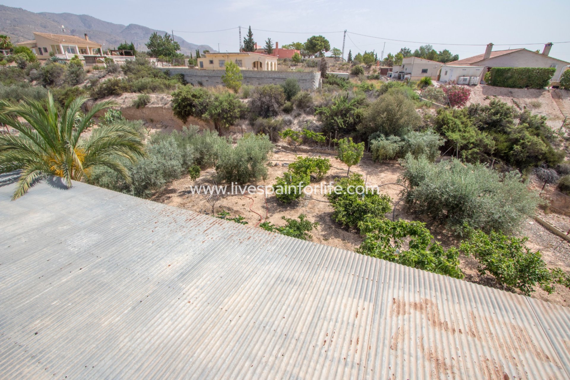 Resale - Country Property -
Albatera