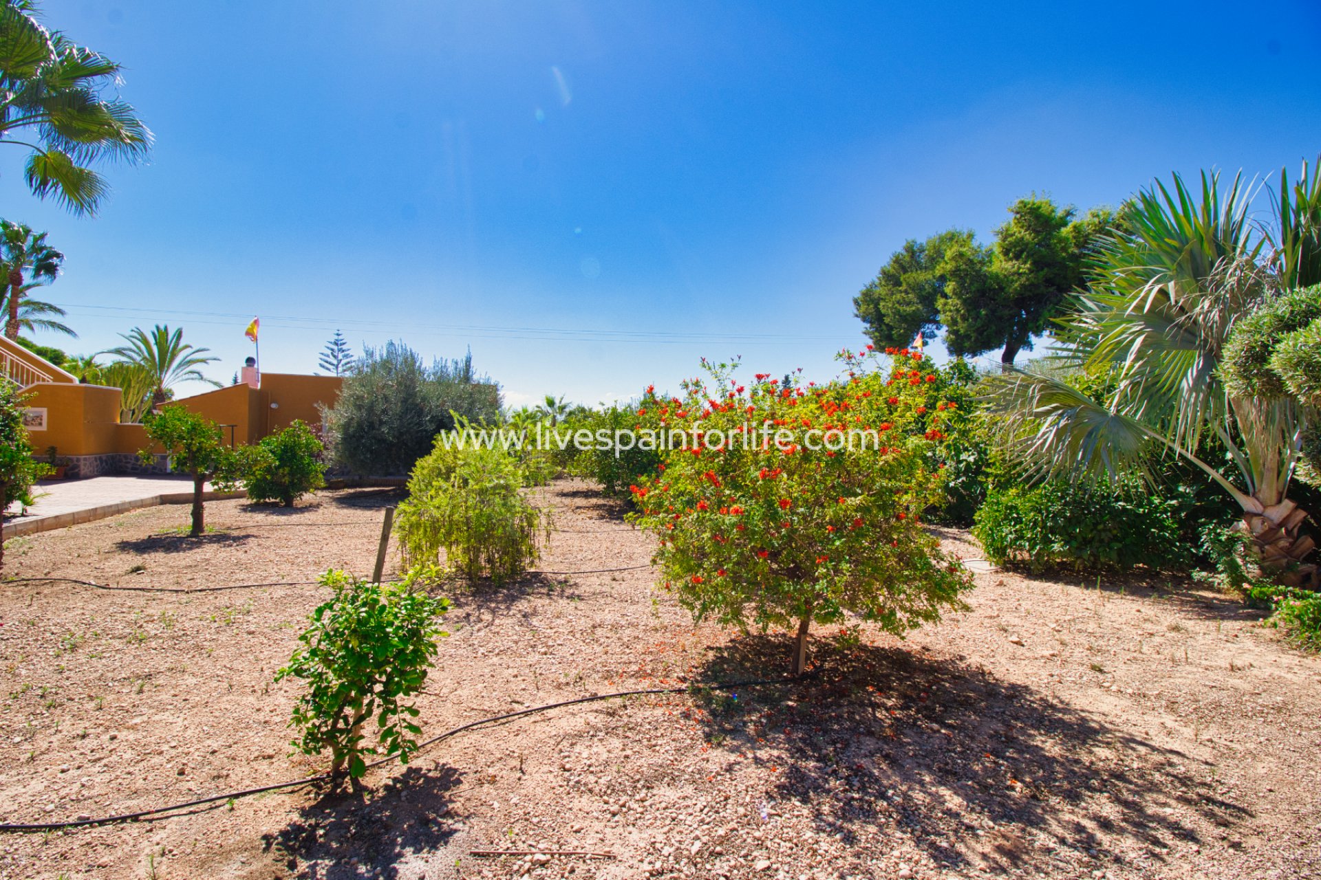 Resale - Country Property -
Albatera
