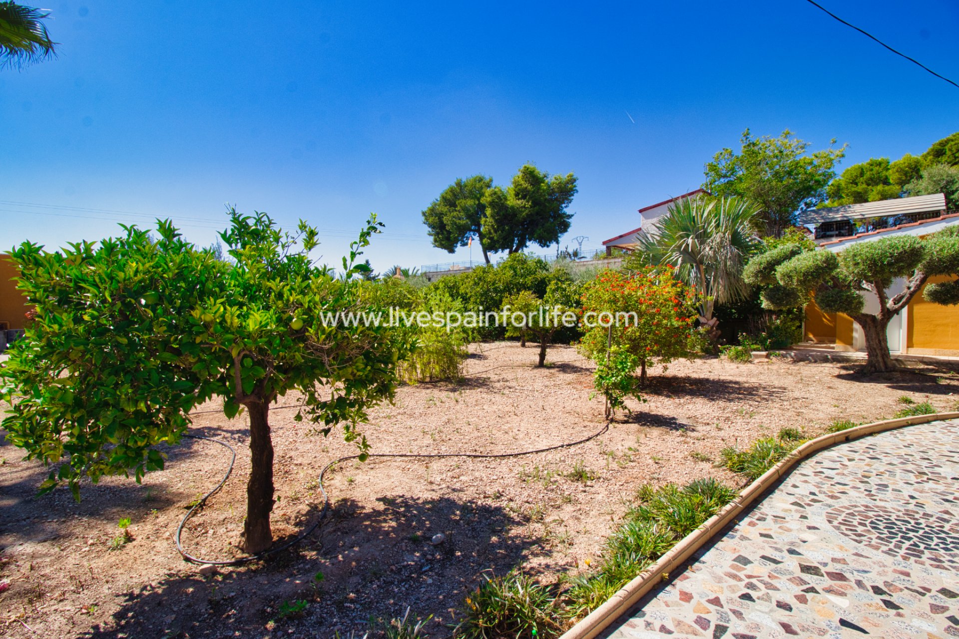 Resale - Country Property -
Albatera