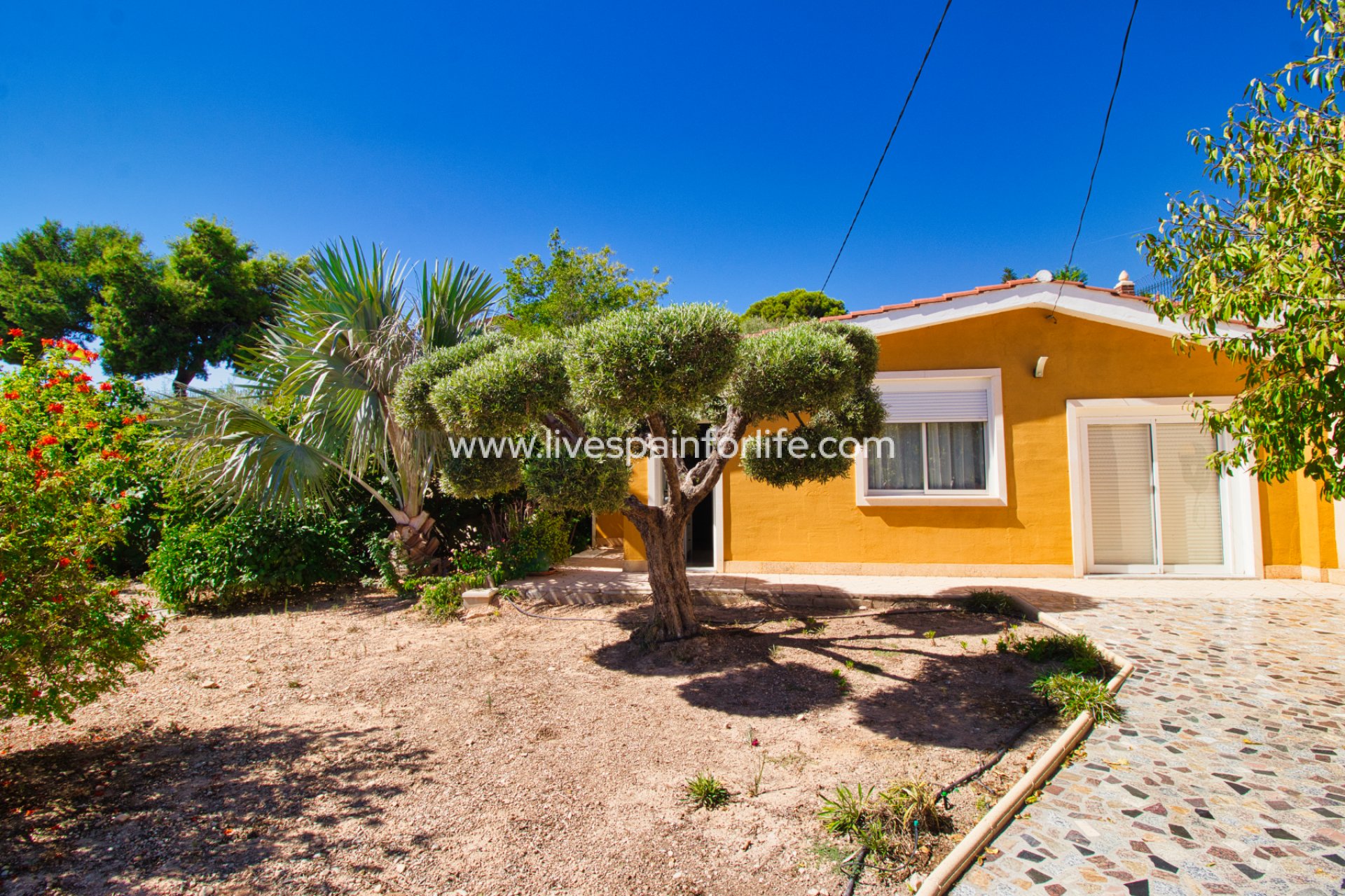 Resale - Country Property -
Albatera