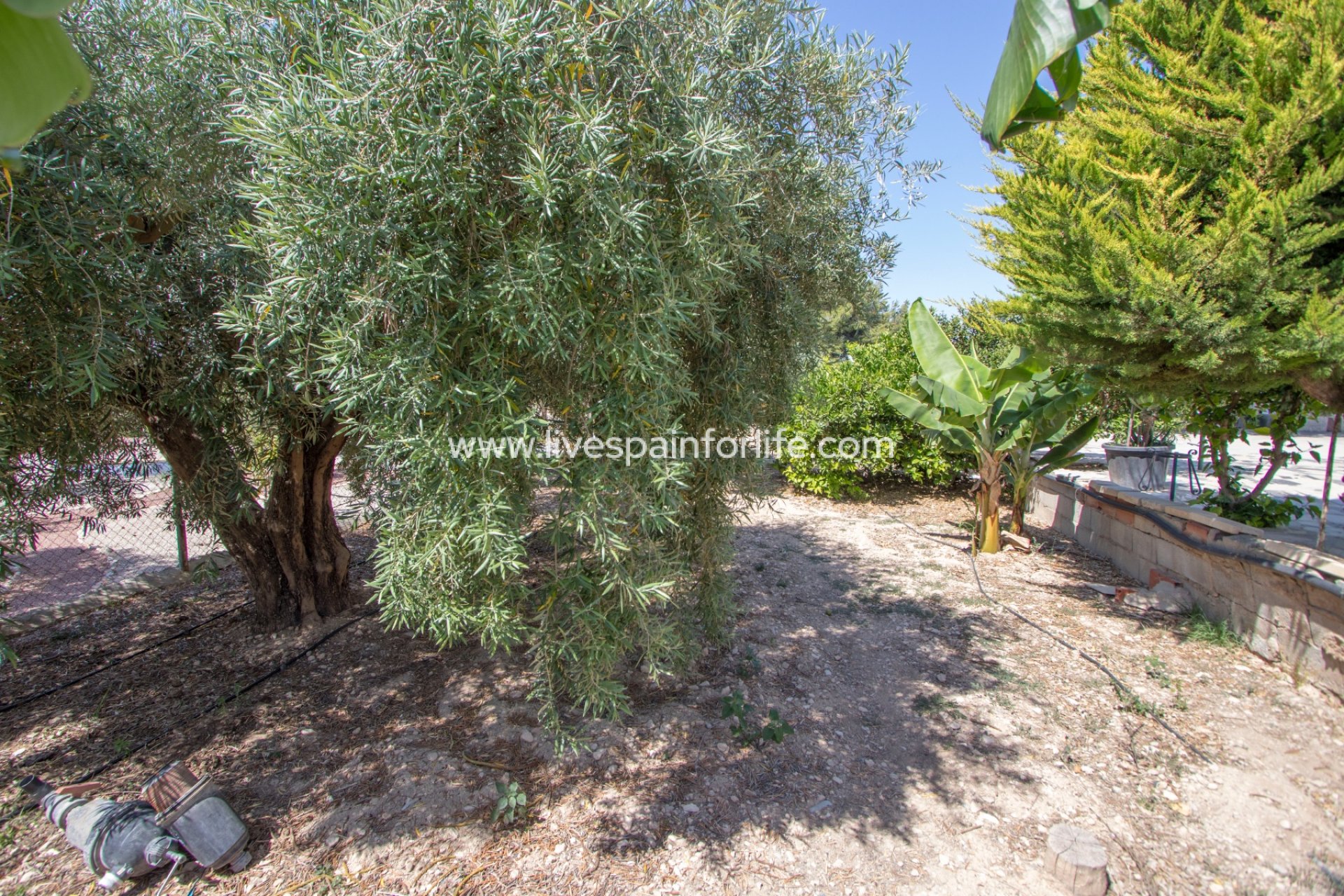Resale - Country Property -
Albatera