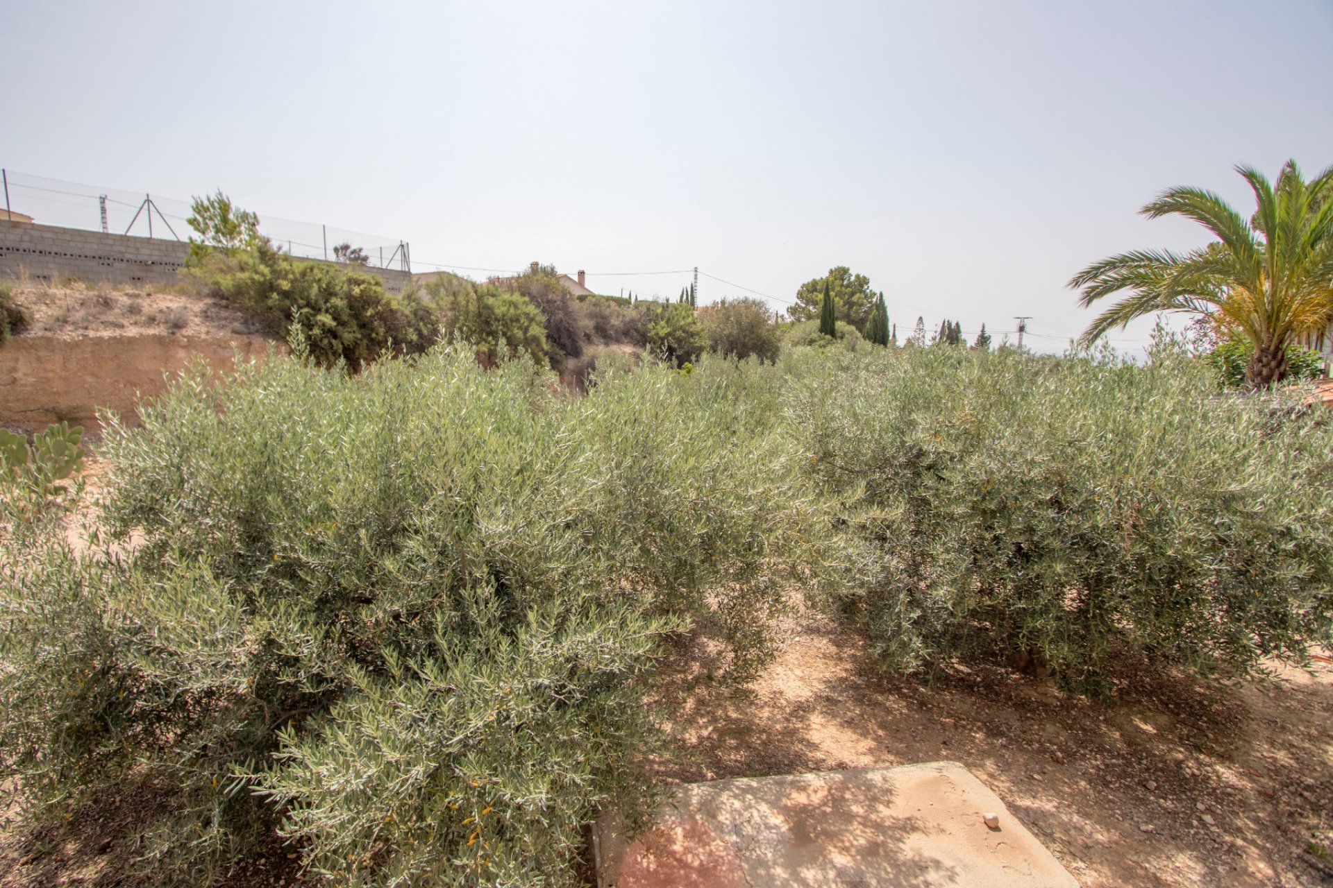 Resale - Country Property -
Alicante