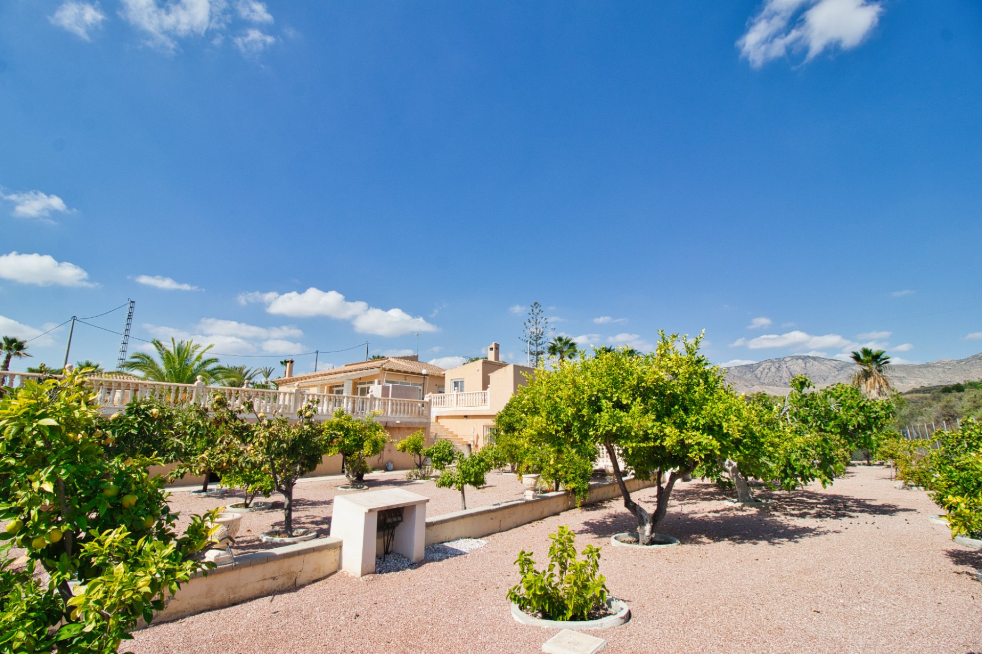 Resale - Country Property -
Alicante