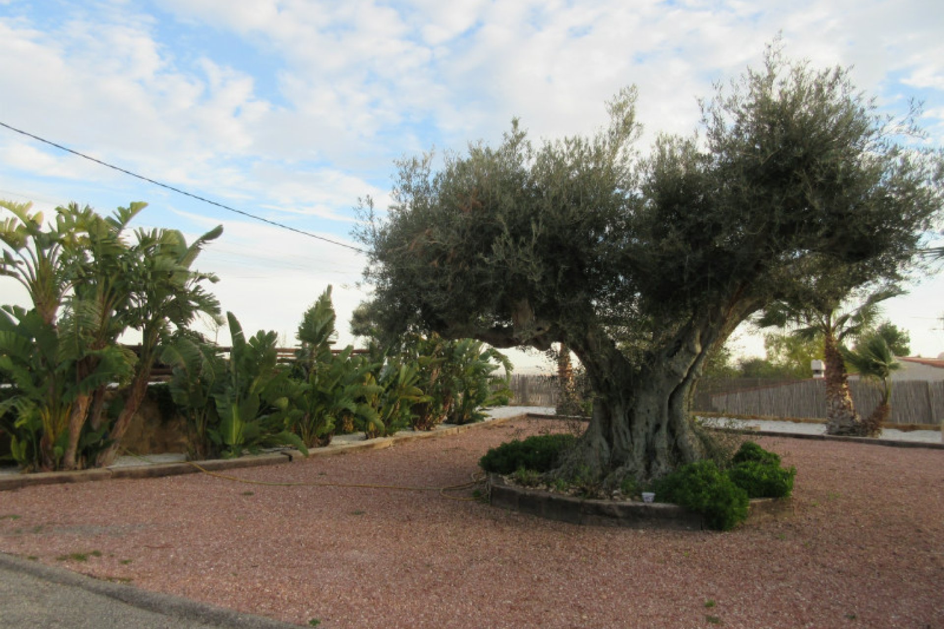 Resale - Country Property -
Alicante