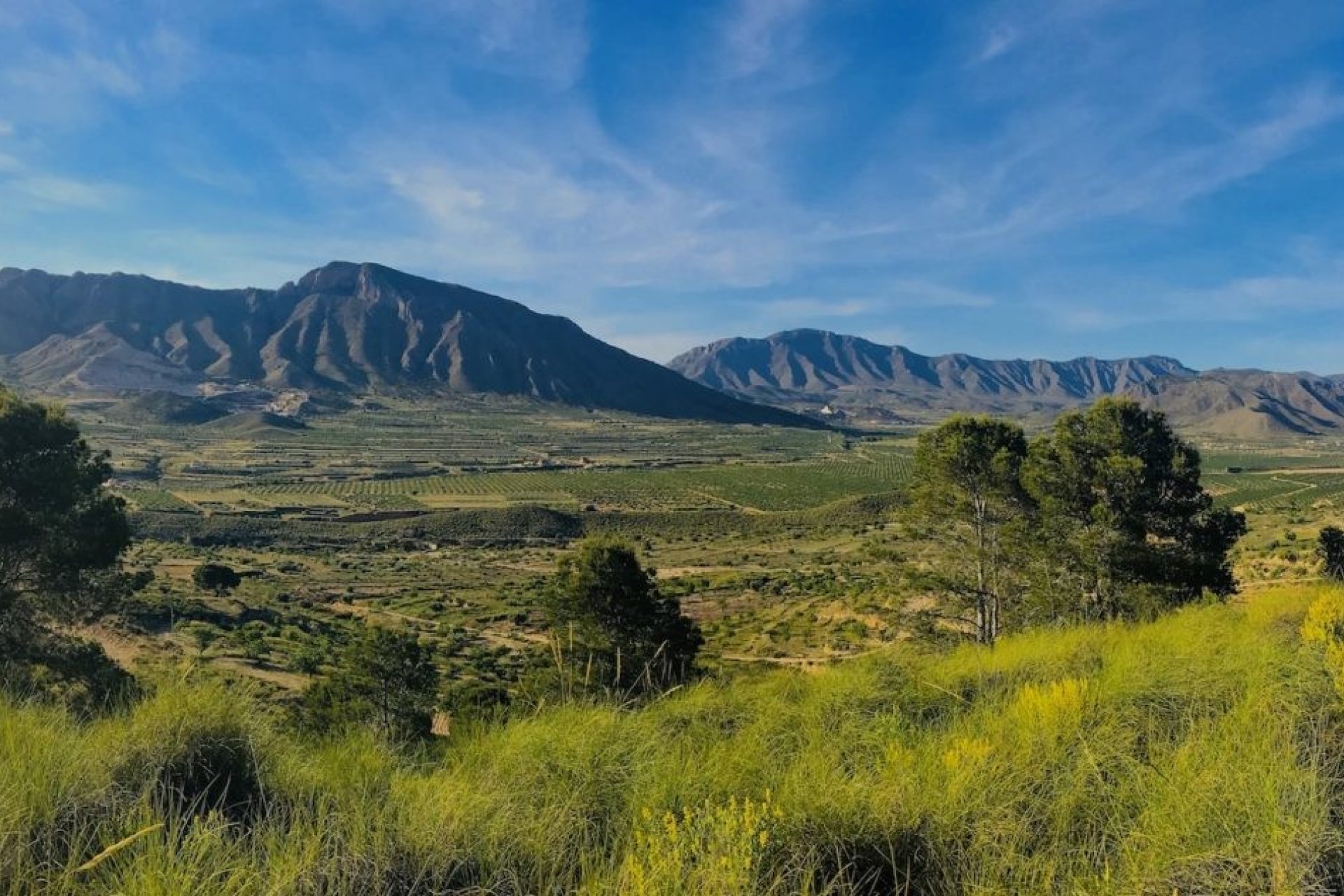 Resale - Country Property -
Alicante