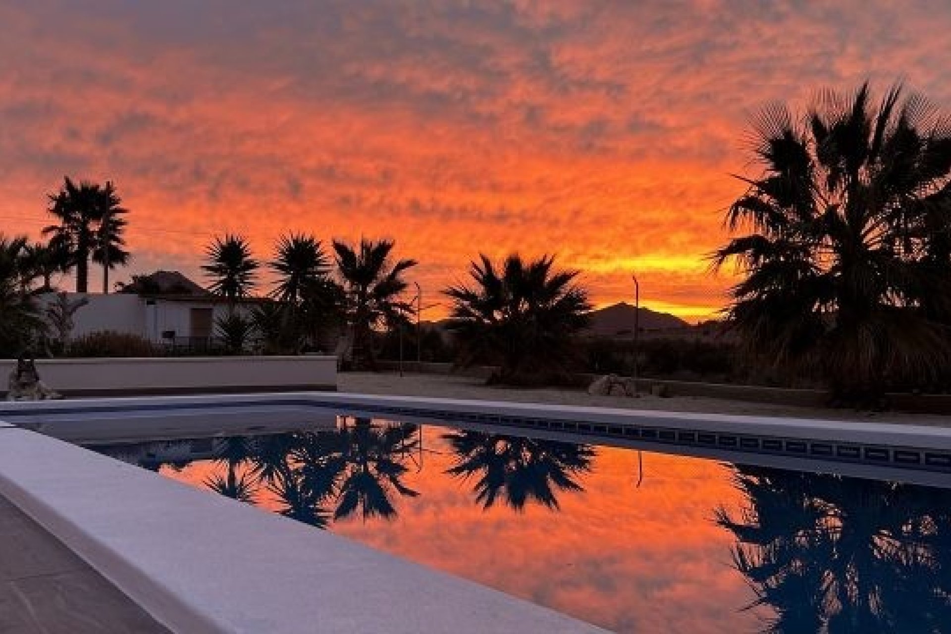 Resale - Country Property -
Alicante