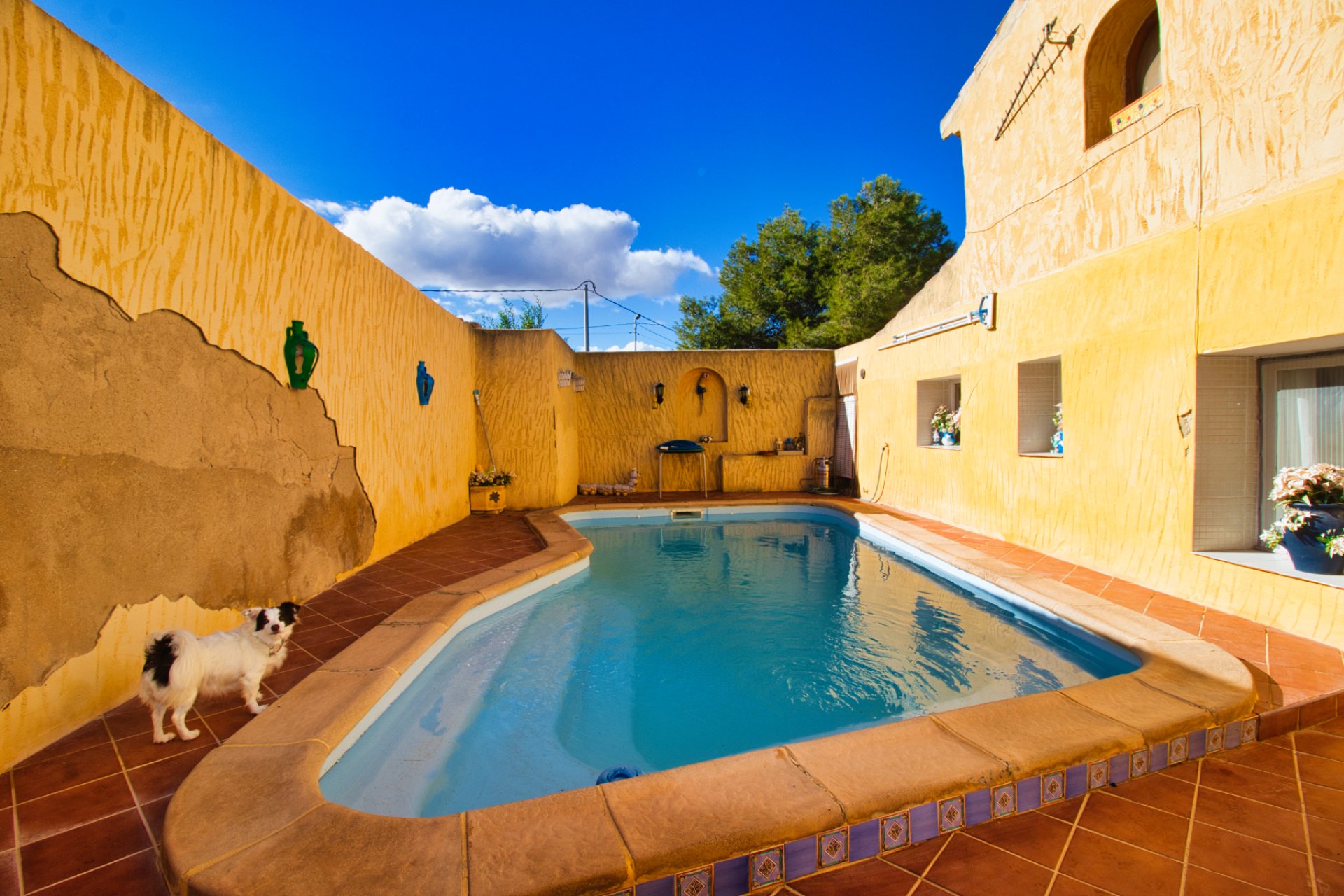 Resale - Country Property -
Alicante