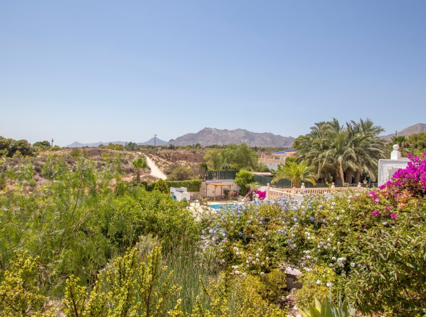 Resale - Country Property -
Alicante