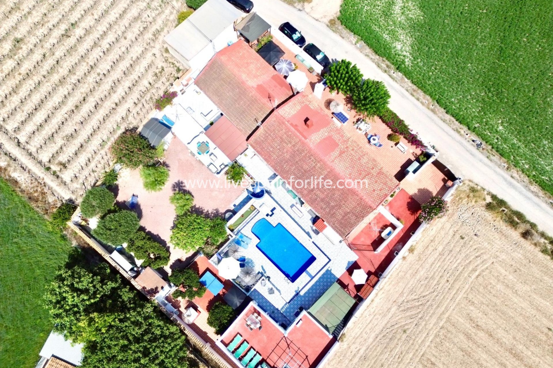 Resale - Country Property -
Alicante