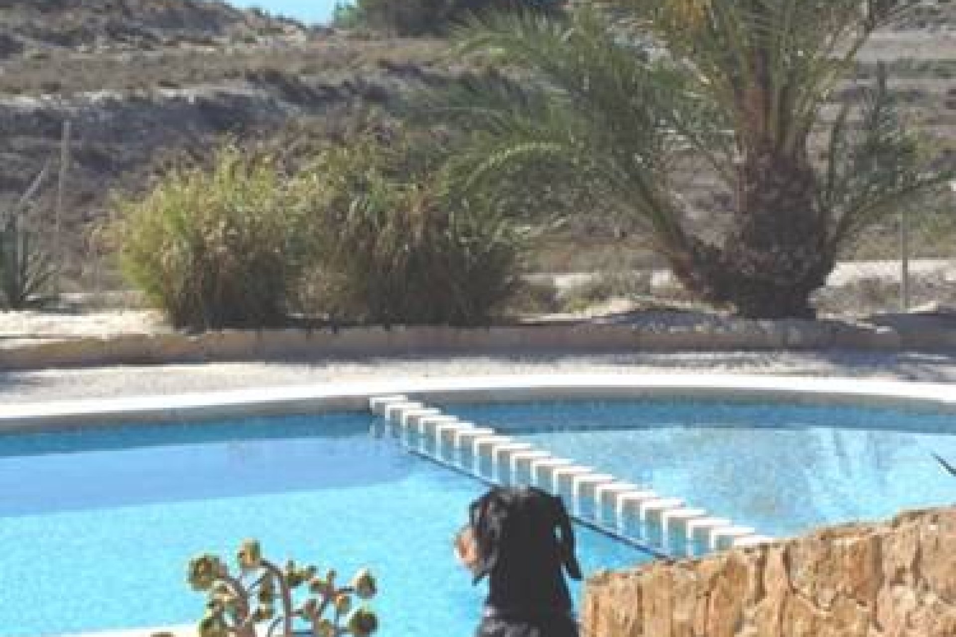 Resale - Country Property -
Alicante